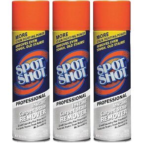 Professional Carpet Stain Remover - 3/18 oz.