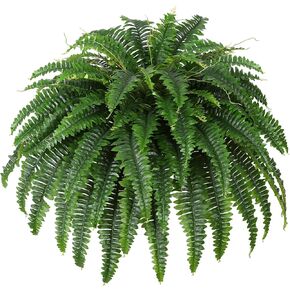 Single Silky Artificial Boston Fern Bush, 43Inch Large Artificial Ferns for Outdoors, Large Faux Ferns Artificial Plants,Suitable for Decorating Office, Living Room Faux Greenery,69Branches in Saudi Arabia