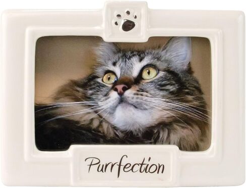 Malden International Designs Glazed Ceramic With Black "Top Dog" Picture Frame, 3.5x5, White in Saudi Arabia