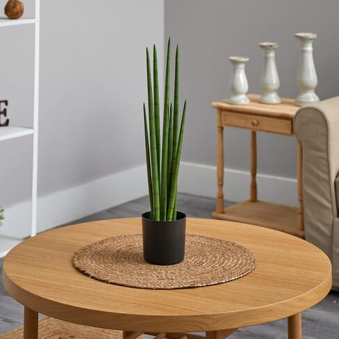 Nearly Natural 23in. Sansevieria Snake Artificial Plant in Saudi Arabia