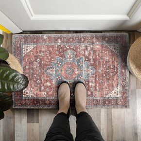 Adiva Rugs Machine Washable 2x3 Area Rug with Non Slip Backing for Living Room, Bedroom, Bathroom, Kitchen, Printed Vintage Home Decor, Floor Decoration Carpet Mat (Terra, 2' x 3')