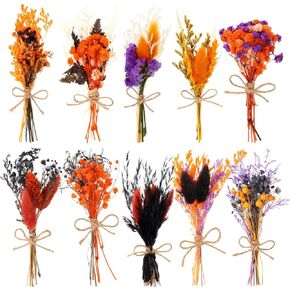 10 Pack Halloween Dried Flowers Bouquet Natural Black Orange and Purple Dried Flower Bundles Combinations Mini Dried Embossing with Stem Floral Arrangement for Halloween Indoor Decorations,Fall Decor