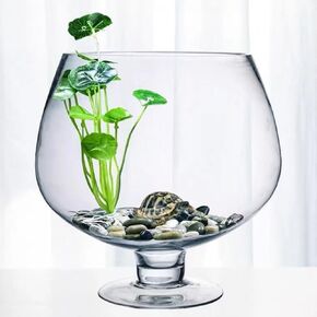 BESPORTBLE Glass Fish Bowl Vase - Clear Bubble Planter Terrarium Fish Bowl Wine Goblet Shaped Vase Transparent Hydroponic Fish Bowl Bulb Vase Floral Container
