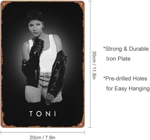 Pop Queens Toni Braxton Metal Tin Sign Poster Vintage Art Wall Decor 12 x 8 inch in Kuwait