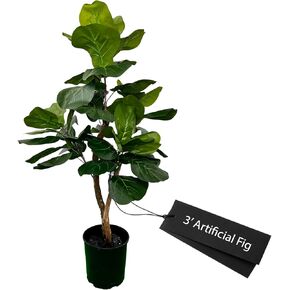 Cypress & Alabaster Handmade 6ft Fiddle Leaf Fig Ficus Lyrata Artificial Tree with Ethically Sourced Real Wood Trunks, Hypoallergenic, 6-Foot, Green