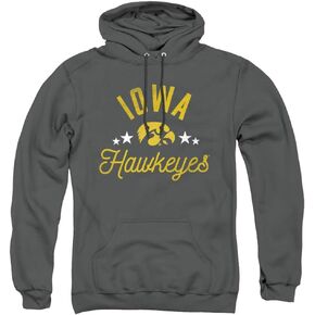 University of Iowa Official Hawkeyes Unisex Adult Pull-Over Hoodie