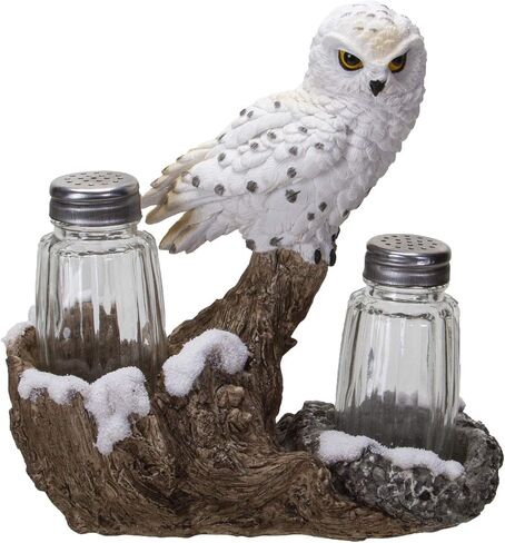 Pacific Giftware Snowy Owl Perching On Tree Branch Spiritual Realistic Decorative Glass Salt and Pepper Shakers Set with Resin Holder in Saudi Arabia