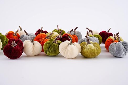 Mud Pie Velvet Mini Pumpkin Set, 2 1/2" x 2" Dia in Kuwait