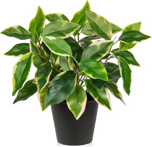 نباتات اصطناعية داخلية نباتات وهمية صغيرة في أوعية فو Pothos N 'Joy نبات محفوظ بوعاء نباتات داخلية وهمية مع أوعية سوداء للحمام وغرفة المعيشة وأرفف مكتب المكتب in Saudi Arabia