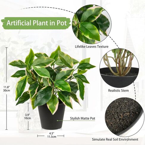 نباتات اصطناعية داخلية نباتات وهمية صغيرة في أوعية فو Pothos N 'Joy نبات محفوظ بوعاء نباتات داخلية وهمية مع أوعية سوداء للحمام وغرفة المعيشة وأرفف مكتب المكتب in Saudi Arabia