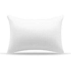 AM AEROMAX 20 ×20 Throw Pillow Memory Foam Pillow Insert - Square Accent Pillow for Decorative Cushion Bed Couch Sofa - Non-Deforming Over Time