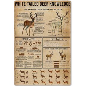 Metal Tin Sign White-Tailed Deer Knowledge Hunting Knowledge Poster Unplaning Infographics Farmhouse Farm Home Kitchen Club Wall Plaque 8x12 Inches