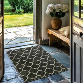 EVERGRACE Hallyway Area Runner Rugs 2x6, Boho Trellis Faux Wool Indoor Outdoor Rugs, Washable Rugs for Bedroom Bathroom Living Room Kitchen, Low Pile Floor Mat Carpet for Home Decor, Mocha Brown