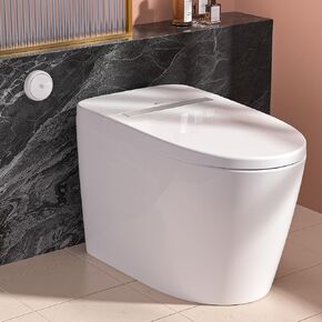 LEIVI Smart Toilet with Built-in Heated Seat, Tankless Toilet with Auto Flushing, Adjustable Seat Temp, Flush Remote Control, Elongated