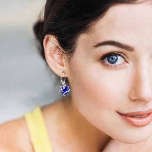 Starchenie Birthstone Earrings for Women Sterling Silver Dangle Leverback Infinity Earring for Women in Kuwait