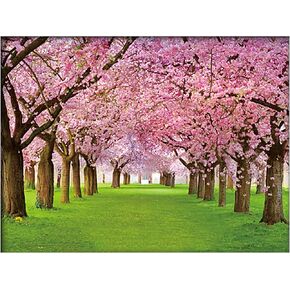 Four Seasons Tree 3D Poster Wall Art Decor Print ，Beautiful Nature Scene of Changing Four Seasons Spring Summer Fall Winter Scenery Mural，Optical Illusion Flipping Images and Holographic Pictures