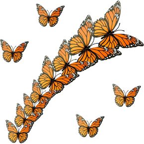 12 Pcs Monarch Butterfly Decorations, 3 Sizes Halloween Butterfly Wall Decor, 3D Orange Fake Butterflies, Artificial Butterfly Crafts for The Dead Day, Bedroom, Home, Wedding, Party, Christmas Decor