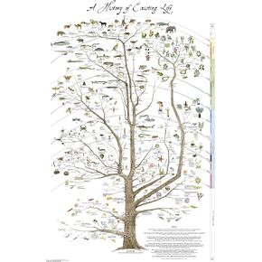 Tree of Life Poster Print - Science Poster Natural History of Existing Life-24" x 36" Laminated