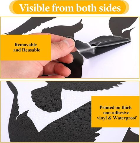 Giantree 37 Pcs Large Bird Stickers Anti-Collision Window Clings for Glass Window, Bird Window Decals to Prevent People and Bird Strikes Stop Birds from Hitting Windows in Saudi Arabia