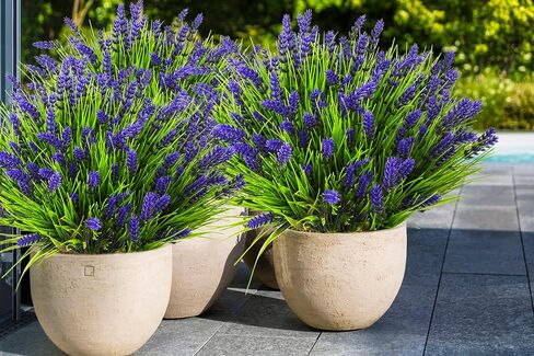 Artificial Plants Outdoor,18 Pcs Fake Flowers UV Resistant Outdoor Fake Plants, Artificial Fall Flowers Plastic Faux Mums Flowers Shrubs Greenery Plants for Home Garden Patio Porch Window Box Decor in Saudi Arabia
