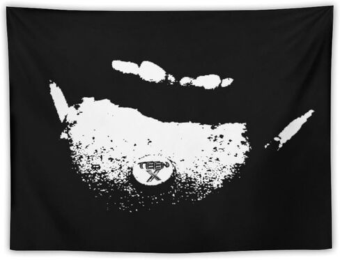 CooolTapestry Olivia Rodrigo Tapestry Tapestry for Bedroom Aesthetic Tapestries Wall Decor Hanging for Living Room 30""x40"", style in Saudi Arabia