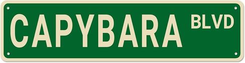 لافتة شارع Capybara Blvd، هدية لمحبي ديكور اللافتات، جدار حيوانات مضحك للمنزل/غرفة النوم/كهف الرجل، علامات معدنية عالية الجودة 16x4 بوصة in Saudi Arabia