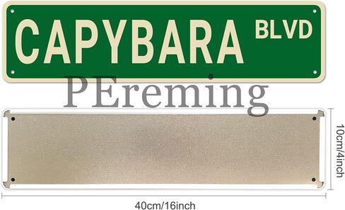لافتة شارع Capybara Blvd، هدية لمحبي ديكور اللافتات، جدار حيوانات مضحك للمنزل/غرفة النوم/كهف الرجل، علامات معدنية عالية الجودة 16x4 بوصة in Saudi Arabia