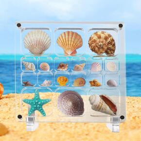 Acrylic Magnetic Seashell Display Box with Stand Clear Seashell Display Case Tiny Shell Decorative Box Shell Collector Transparent Storage Box Organizer Holder for Shells Jewelry and Seeds