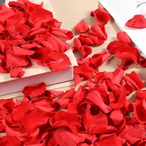 Dried Real Rose Petals, Natural Preserved Dry Flower Petals for Wedding Party Dinner Table Decor, Romantic Night for Her Set, Engagement, Bridal Shower, Valentine's Day, Confetti (1.6oz, Red)