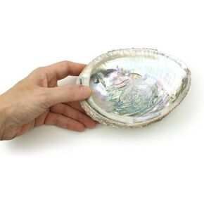 1pc Colorful Fashionable Large Abalone Shell Bowl,4-4.5 Inch Exquisite Natural Sea Shell Smudge Bowl for Sage Burning and Incense for Decor,Display and Great Gift,Incense and Incense Holders in Saudi Arabia