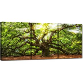 Conipit Angel Oak Tree Pictures Wall Art Sunshine Through Tree Canvas Green Oak Tree Painting South Carolina Tree Prints Framed and Stretched Natural Landscape Canvas 12''x16''x3