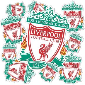 Desert Cactus Liverpool FC Stickers Decal Vinyl English Anfield Football Soccer Laptop Water Bottle Car Scrapbook (Type 3-1)
