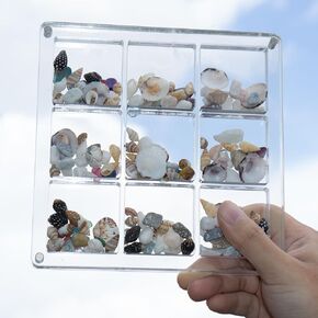 Acrylic Seashell Display Case - 9 Seashell Display Box, Transparent Seashell Storage, Magnetic Clear Box for Organizing Seashells and Trinkets (Large grid version).