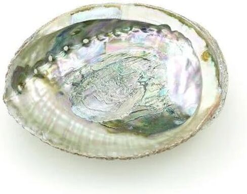 1pc Colorful Fashionable Large Abalone Shell Bowl,4-4.5 Inch Exquisite Natural Sea Shell Smudge Bowl for Sage Burning and Incense for Decor,Display and Great Gift,Incense and Incense Holders in Saudi Arabia