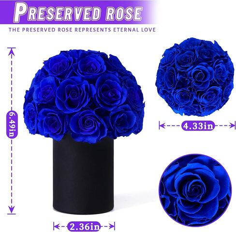 ANLUNOB Gift 20-Piece Forever Rose Round Barrel Preserved Roses Forever Flowers for Delivery Prime Mothers Day & Valentines Day for Wife Girlfriend in Saudi Arabia