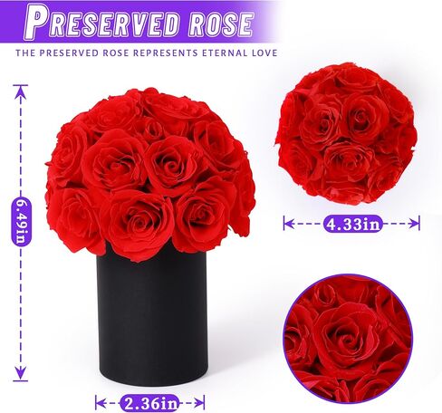 ANLUNOB Gift 20-Piece Forever Rose Round Barrel Preserved Roses Forever Flowers for Delivery Prime Mothers Day & Valentines Day for Wife Girlfriend in Saudi Arabia