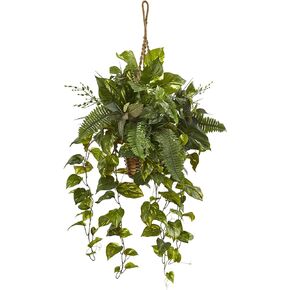 Nearly Natural Mixed Pothos and Boston Artificial Fern in Hanging Basket