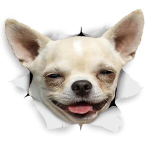 Winston & Bear 3D Dog Stickers - 2 Pack - Happy Chihuahua for Wall, Fridge, Toilet and More - Retail Packaged Happy Chihuahua Dog Stickers