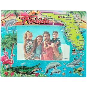 Lunch Money Florida Themed The Sunshine State 4x6 Photo Frame Souvenir Featuring Some of Florida's Most Beloved Beach Towns, Gators, Flamingos, Manatees, Dolphins, and Florida's Best Marine Life