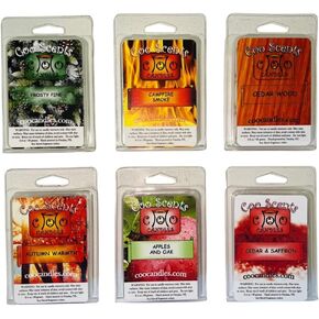 Fall Mix Scented Wax Melts, 6 Pack – USA Made – Wax Cubes for Wax Melt Warmer, Masculine Autumn Outdoor Variety Pack - Cedar Wood, Cedar & Saffron, Campfire Smoke, Apples & Oak, Pine, Autumn Warmth