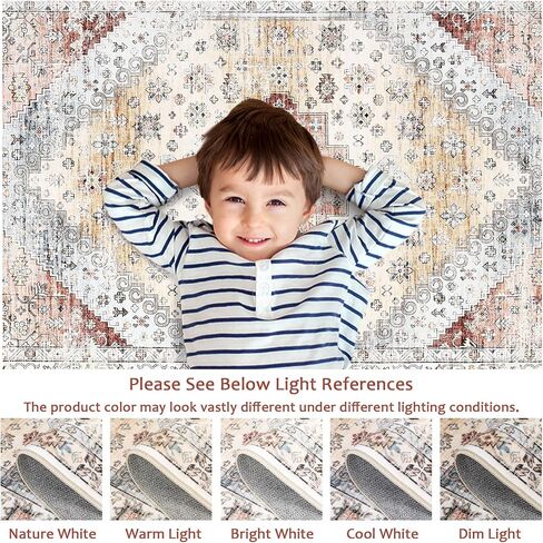 CAROMIO 9x12 Living Room Area Rug Washable Traditional Rug Indoor Non Slip Large Carpet Vintage Distressed Throw Floor Cover Stain Resistant Boho Accent Carpet for Bedroom Home Decor, Orange in Saudi Arabia
