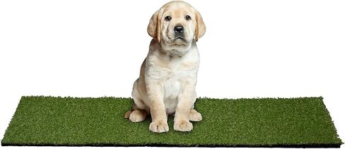 سجادة Garland Rug Puppy Pee Pad من العشب الصناعي، 24 بوصة × 48 بوصة، أخضر in Kuwait