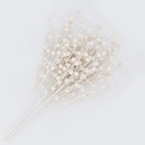 10 Pack Holly Berry Stem Picks, 14.4" Decorative Wire Berries Twig Stem Artificial Sprays for Christmas Tree Branches Fillers Decoration, Holiday Décor, Wreath Garland, Home DIY Crafts (10, White) in Saudi Arabia