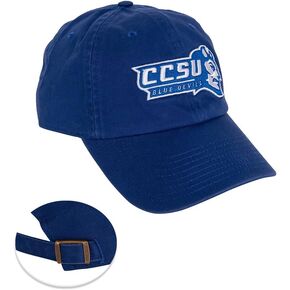 Desert Cactus Central Connecticut State University Baseball Hat CCSU Blue Devils Brimmed Embroirderd Hats Cap Adjustable Cloth Strap Adult (Style B)