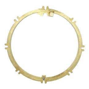 Pentair 79211600Z Ring, Brass