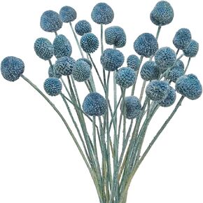 20Pcs Artificial Dried Flowers Blue Billy Balls Flowers Fake Craspedia Globosa Dried Billy Button Floral Boquet Arrangement for Boho Home Party Wedding Vase Decor