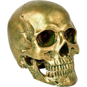 SEKKVY Resin Human Gold Skull Statues Halloween Decor Skeleton Outdoor Human Skull Model Golden Home Decoration (Removable)