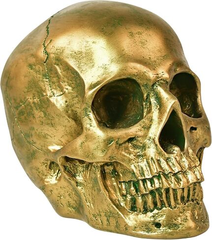 SEKKVY Resin Human Gold Skull Statues Halloween Decor Skeleton Outdoor Human Skull Model Golden Home Decoration (Removable) in Saudi Arabia