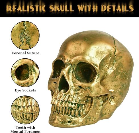 SEKKVY Resin Human Gold Skull Statues Halloween Decor Skeleton Outdoor Human Skull Model Golden Home Decoration (Removable) in Saudi Arabia