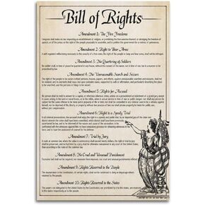 Vintage Poster The U.S. Constitution The Bill of Rights US History Government Classroom School Poste Painting Canvas Wall Posters Art Picture Print Modern Family Decor Posters 12x18inch(30x45cm)